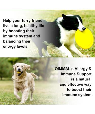 Allergy Relief Drops for Dogs Immune Support Supplement Dog Supplement Dog Allergy Relief with Vitamin C Vitamins Support Healthy Skin-60ml - Buy Online on GoSupps.com
