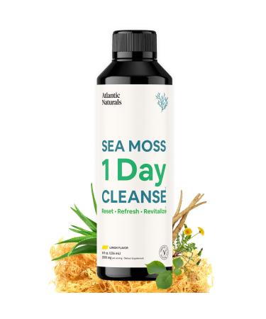 Atlantic Naturals Sea Moss 1 Day Cleanse - Full Body Detox to Support Bowel Movements  Kidney Health  Liver Health  Gut Health  Immune Health and Energy Levels