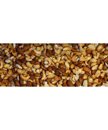 Nutcase Slow-Roasted Cashews Almonds and Peanuts - The Big Bag - Buy Online on GoSupps.com