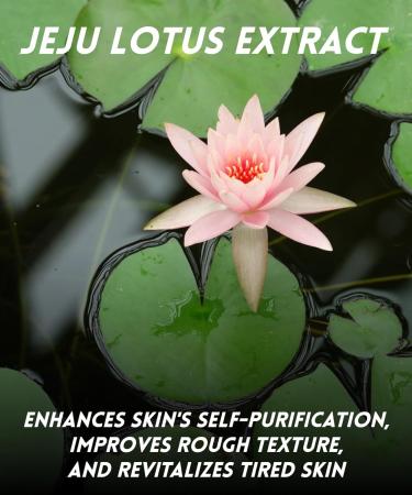 Faircell 180 Deep Cleansing Pad - Waterless Pore Care Hypoallergenic Portable Korean Skin Care | 10 Sets of 2 Pads (0.24 fl oz each - Buy Online on GoSupps.com