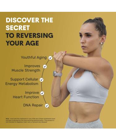 ALLBE NMN 9000 Ultra | 60 Capsules | 99% Purity Nicotinamide Mononucleotide 150 mg Servings | NAD+ Booster Supplement for Cellular Energy Metabolism Repair Immunity and Healthy Aging 60 count (Pack of 1) - Buy Online on GoSupps.com