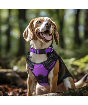 Buy Joytale Reflective Dog Collar for Medium Dogs - Purple M Size (Pack of 1) | International Shipping - Buy Online on GoSupps.com