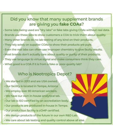 Nootropics Depot Ginkgo Biloba Extract Tablets | 120mg | 365 Count | Minimum 10% Kaempferol Glycoside + 2% Bilobalide | May Help Promote Cognitive & Cardiovascular Function 365 Count (Pack of 1) - Buy Online on GoSupps.com