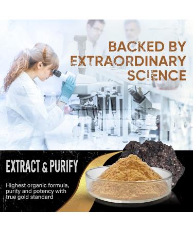 Pure Organic Himalayan Shilajit Resin 85+ Trace Minerals Complex for Focus, Energy & Immune Support | 2-3 Month Supply - Buy Online on GoSupps.com