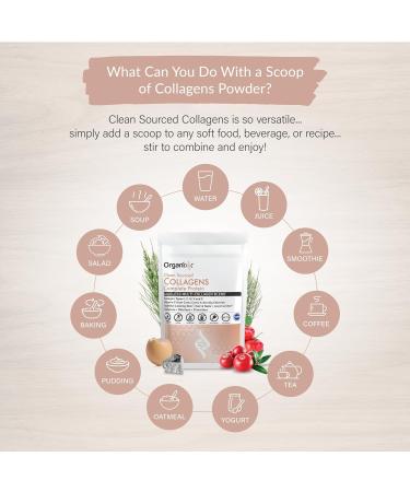 Organixx Clean Sourced Collagens (20 Servings) & OrganiGreens (30 Servings) Bundle Daily Super Greens & Protein w/Vitamin C & Zinc Supports Digestion Skin Hair Nails & Joint Health Gluten Free - Buy Online on GoSupps.com