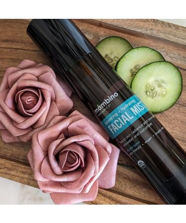 Mambino Organics Hydrating Facial Mist & Toner Organic Rose Water Face Mist with Cucumber Vegan Facial Spray for Sensitive Skin Cruelty-Free Skincare 4 fl oz 2 Pack Rose 4 Fl Oz (Pack of 2) - Buy Online on GoSupps.com