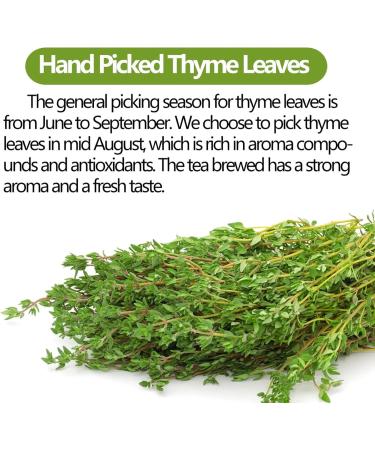  ULTHMOK Premium Thyme Leaf Tea in 100 Bags Made with 100% Pure Thyme Leaves Aids Digestion & Supports - Buy Online on GoSupps.com