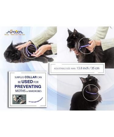 Arava Flea & Tick Prevention Collar for Cats & Kittens - Length 14'' - 11 Natural Active Ingredients - Safe for Babies & Pets - Buy Online on GoSupps.com