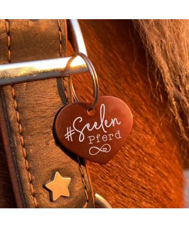 Soulhorse Guardian Angel Talisman Bridle Front Stuff | Bronze Key Trailer for Animals & Humans - Buy Online on GoSupps.com