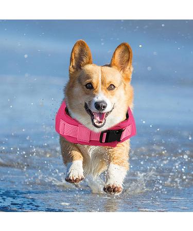 Fragralley Dog Life Jacket Shark Vest | Adjustable Ripstop Safety Vest for Dogs | Superior Buoyancy & Rescue Handle | Small Medium Large Dogs | Swim, Pool, Beach, Boating | XS Pink-Wave Shark - Buy Online on GoSupps.com