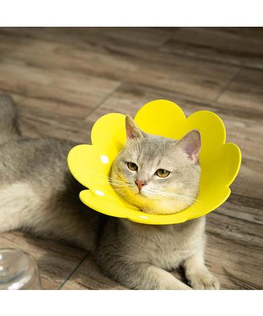 3Pcs Cat Recovery Collar Set - Sunflower Neck Cone for Anti-Licking & Biting - Pink Orange Yellow - Buy Online on GoSupps.com