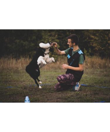 Dingo Dog Toy - Natural Fur Bungee Handle for Agility & Training | Green Grip 15581 - Perfect for Motivation & Fun - International Shipping Available - Buy Online on GoSupps.com