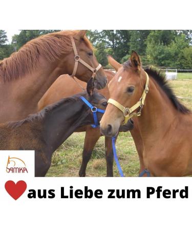 AMKA Thiedemann Combination Auxiliary Reins - Adjustable Black Warmblood Reins for Enhanced Control | Buy Now - Buy Online on GoSupps.com
