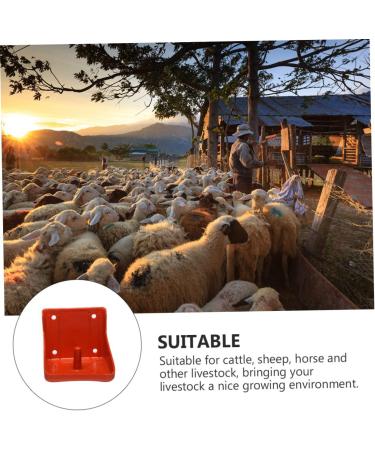 Parliky Sheep Feeder 1pc Cattle and Sheep Lick Brick Box Sheep Waterer Bowl Goats Feeder Feeding Bowl Dedicated Feed Pan - Buy Online on GoSupps.com