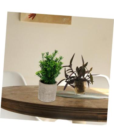 TOPBATHY False Green Plant 5 Pcs Simulated Potted Plant Pulp Potted Plants Household Fake Trees Artificial As Shownx5pcs 21.5x8cmx5pcs - Buy Online on GoSupps.com