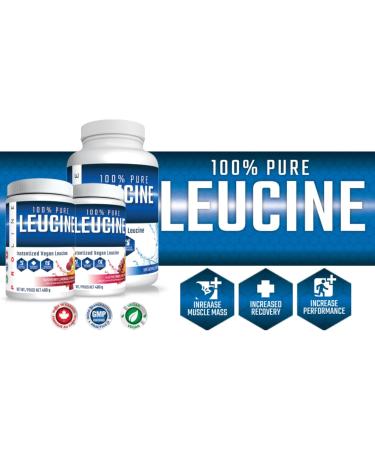 Pro Line 100% Pure Leucine | Instantized Vegan Leucine | 5 Grams of Instantized Vegan Leucine for Protein Synthesis & Recovery | 55 Servings Per Container 400G (Raspberry Lemonade) - Buy Online on GoSupps.com