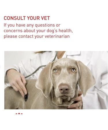 Royal Canin Maxi Light Weight Care Adult Dry Dog Food 12kg - Buy Online on GoSupps.com