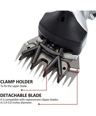 thickvalley Cordless Sheep Shears 2500R/MIN Rechargeable Electric Wool Shears with 2 Lithium Batteries and Spare Blades Sheep Shears Grooming Tolls for Shaving Fur Wool in Sheep Goats Cattle Red - Buy Online on GoSupps.com