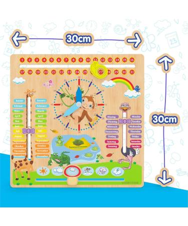 Woodywood Calendar Watch for Children - Bilingual Montessori Learning Clock in Wood - 30x30 cm - Teach Time Date & More Ideal Gift for Kids - Buy Online on GoSupps.com