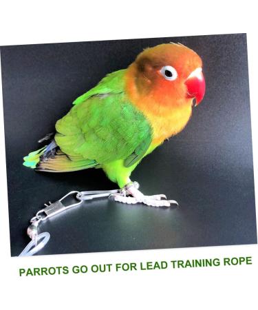Angoily 3 pcs 15 Leash Trainning Color for Flying Activities Random Elastic Harness Parrot Meters Size 5x3pcs As Shownx3pcs - Buy Online on GoSupps.com