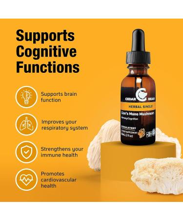 Cedar Bear Lion's Mane Mushroom Supplement 2 fl oz - All-Natural Brain Booster for Memory, Focus & Immune Support - Buy Online on GoSupps.com