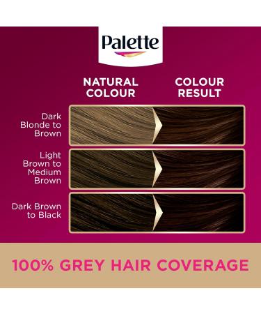  Palette Palette Deluxe Creme Permanent Hair Color 3-65 Chocolate Brown Long Lasting Hair Color with Moisture Retention Treatment and 100% Grey Coverage - Buy Online on GoSupps.com