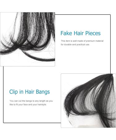 LALAFINA Piece Faux Bangs Clip in Bangs Clip on Air Bangs for Women Bangs Hair Extension Clip in Air Fake Bangs Fake Hair Black Gabor Wigs for Human Curtain No Trace Miss - Buy Online on GoSupps.com