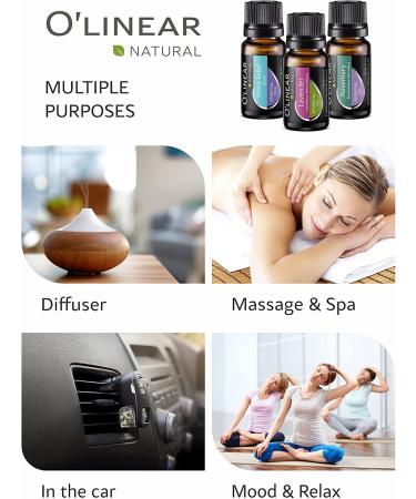 Top 12 Essential Oils Set and Blends - 10ml for Diffuser, Humidifier, Massage - Perfect Starter Kit Gift with Book & Soul Recipes - Buy Online on GoSupps.com