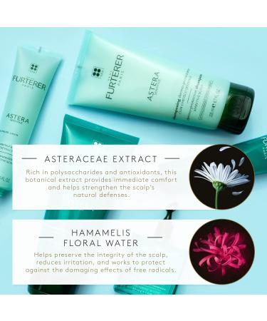 Rene Furterer ASTERA SENSITIVE Serum - Pollution Protection for Sensitive Scalps | Paraben & Silicone-Free | 2.5 fl. oz - Buy Online on GoSupps.com