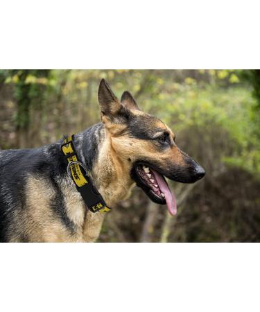 Pets First NHL Pittsburgh Penguins Small Collar for Dogs & Cats - Adjustable & Stylish Hockey Fan Gear - Buy Online on GoSupps.com