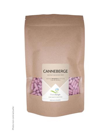 Vital-Energie Cranberry 540 capsules