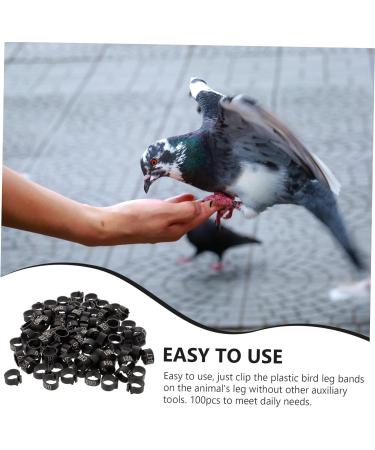 BESPORTBLE 200 Pcs Pigeon Anklet Chicken Legs Pigeon Bands Numbered Poultry Leg Ring Baby Split Ring to Open 1.3X1.3CMx2pcs Blackx2pcs - Buy Online on GoSupps.com