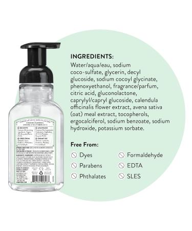 J.R. Watkins Vanilla Mint Foaming Hand Soap Pump 9 fl oz 3 Pack | All Natural, Moisturizing, Alcohol-Free, Cruelty-Free | Made in USA for Kitchen or Bathroom - Buy Online on GoSupps.com