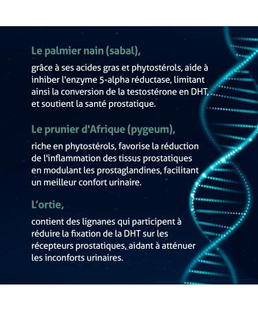 BLANCHE BRESSON - Phyto Prosta 5 Plus - Men's Prostate & Urinary Comfort - Natural Active Ingredients - Nettle African Plum Tree Pumpkin Seed Ginseng - 60 Capsules - 30 Day Treatment - Made in - Buy Online on GoSupps.com