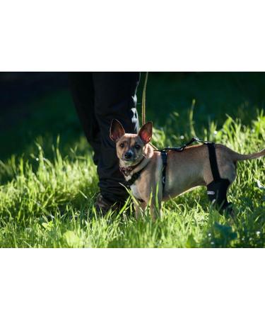 Walkabout knee brace for acl Injuries/Instability (XXSmall Right 4.5"-5.5") - Buy Online on GoSupps.com