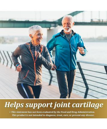 MXZ Calcitrin Gold Dietary Supplement Mobility Reinforcement 60 Tablets (1PC) - Buy Online on GoSupps.com