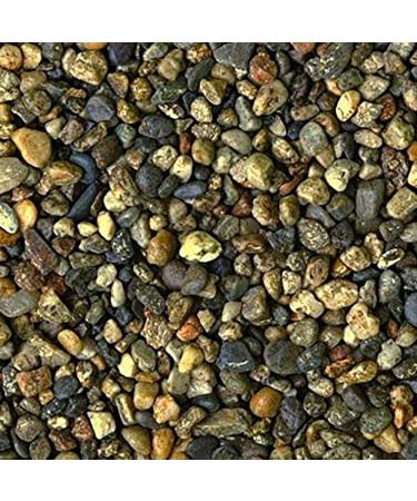 Pettex Roman Gravel Alpine White 8 kg - Buy Online on GoSupps.com