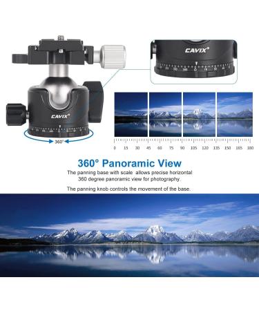 CAVIX 36mm Ball Head Mount with Arca Swiss Plate for DSLR Camera - 33lb Load - Buy Online on GoSupps.com
