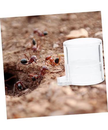 BESPORTBLE 2pcs Ant Water Feeder Mini Ant Feeder Ant Water Feeding Bowl Insect Water Feeder Transparent Acrylic - Buy Online on GoSupps.com