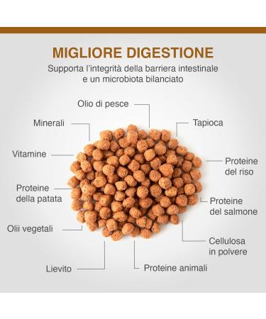 SPECIFIC Canine Adulte CID-LF Digestive Support Low Fat 12KG - Buy Online on GoSupps.com