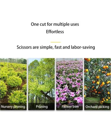 Electric Pruning Shears Garden 25Mm Branch Cutter Electric Cordless with 2 Rechargeable Lithium Battery Garden Fruit Tree Bushes Trimmer Small Gift - Buy Online on GoSupps.com