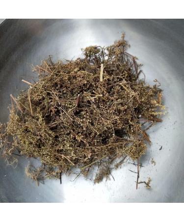 Natural Artemisia Annua Artemisia Odora Artemisia Annuae Qinghao Artemisia Annua Artemisia Annua Tea Artemisia Annua Bulk Artemisia Annua Herb Sweet Wormwood (250grams) - Buy Online on GoSupps.com