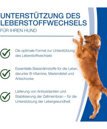 Nutrilabs Rascave Hepar for Dogs - 90 Liver Tablets with B Vitamins | Health Products & Dietary Supplements for Dogs - Buy Online on GoSupps.com