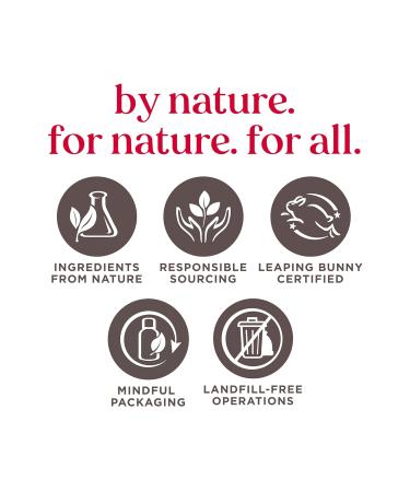 Burt's Bees 100% Natural Moisturizing Lip Balm Pomegranate with Beeswax and Fruit Extracts - 2 Tubes - Buy Online on GoSupps.com