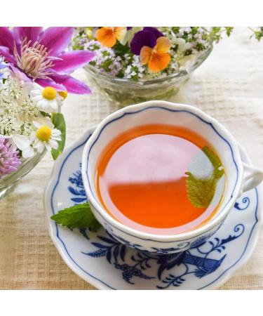 BROOK'S Co Ltd Organic Japanese Black Tea BIO loose leaf tea 100g - Buy Online on GoSupps.com