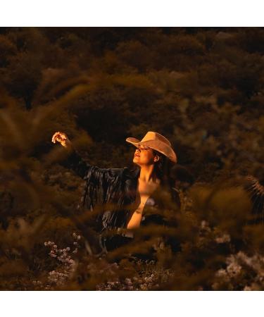 Lisianthus Wide Brim Cowboy Hat - Diamond Shaped Beige Medium - Unisex Western Outdoor Felt Hat - Buy Online on GoSupps.com