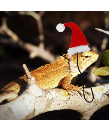 Hemobllo Bearded Dragon Santa Hat with Scarf | Lizard Christmas Outfit for Holiday Party Photos - Buy Online on GoSupps.com