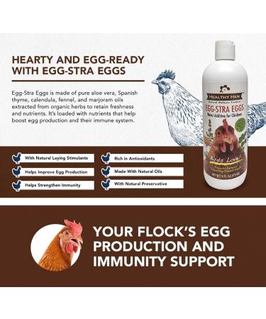 Organic Chicken Water Additive with Aloe Vera, Calendula Oil, Thyme Oil - 16 oz (2 pack) - Supports Egg Production & Immunity - Made in USA - Buy Online on GoSupps.com