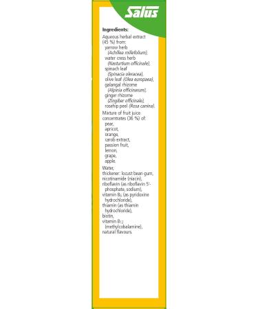 Floradix Vitamin B Complex Liquid Formula 250 ml - Buy Online on GoSupps.com