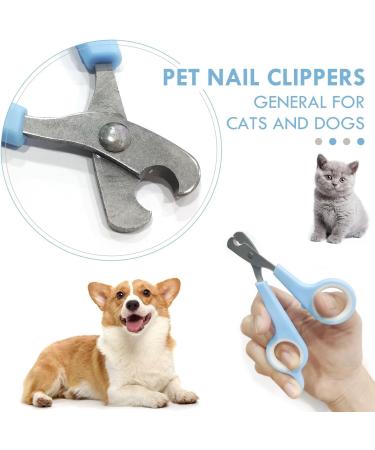 QEEQPF 1 set of pet nail scissors & cat grooming bag mesh bag for bathing nail scissors cleaning and treatment professional cat scissors small animal puppy nail scissors (blue) - Buy Online on GoSupps.com